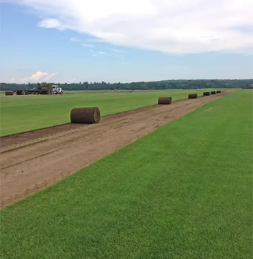 Local landscape installation in Richmond, RI by Laurel Brook Turf