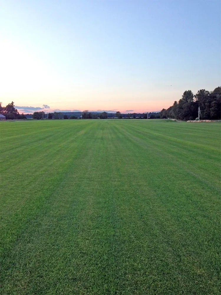 Affordable landscape installation experts serving Richmond, RI - Laurel Brook Turf