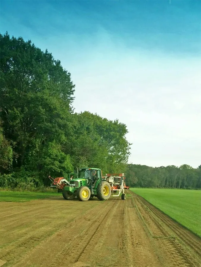 Reliable landscape design in Richmond, RI by Laurel Brook Turf