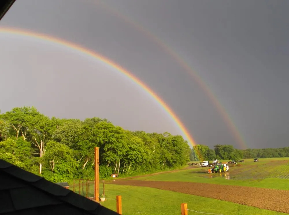 Trusted landscape design experts serving Richmond, RI - Laurel Brook Turf