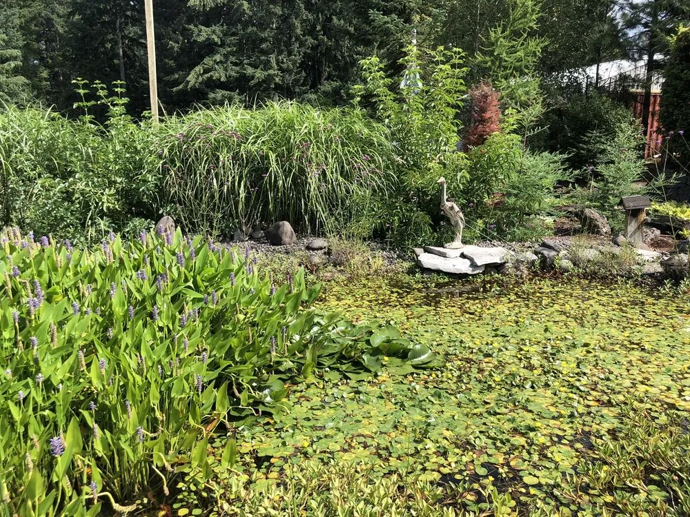 Local residential landscaping for outdoor upgrades across Estacada, OR - Laurel Hedge