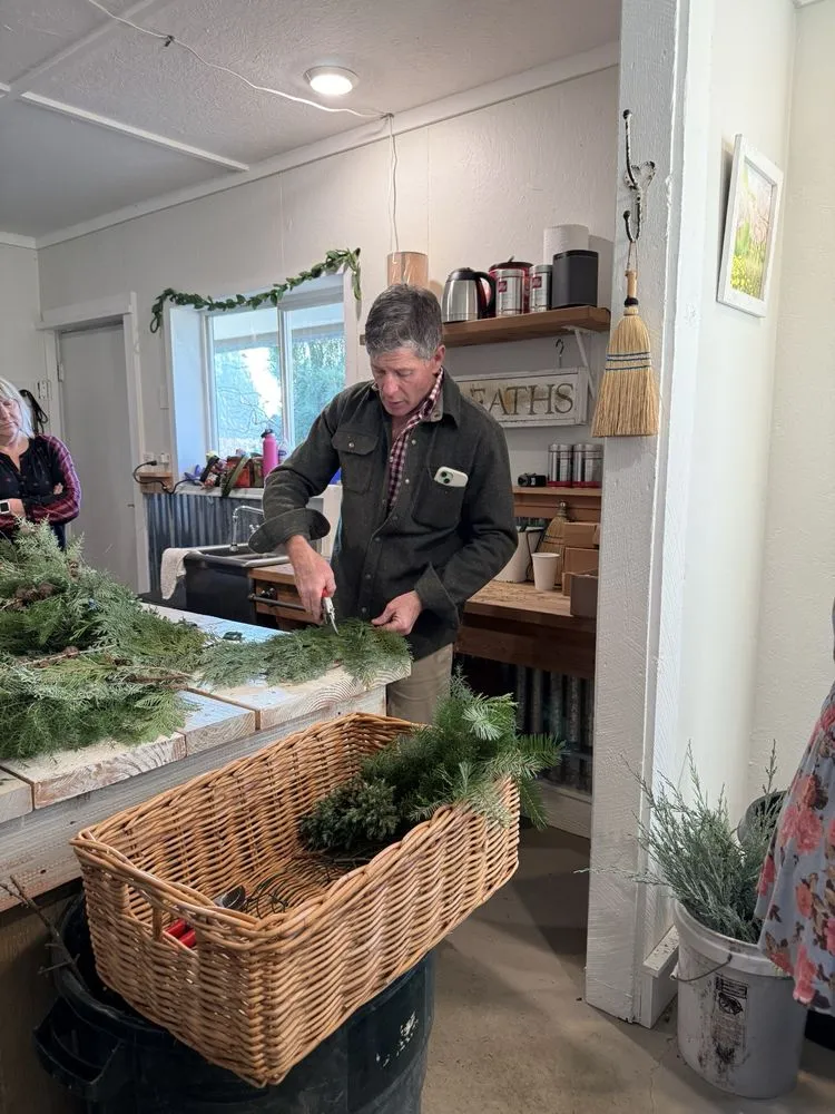 Top-rated landscaping services in Estacada, OR - Laurel Hedge