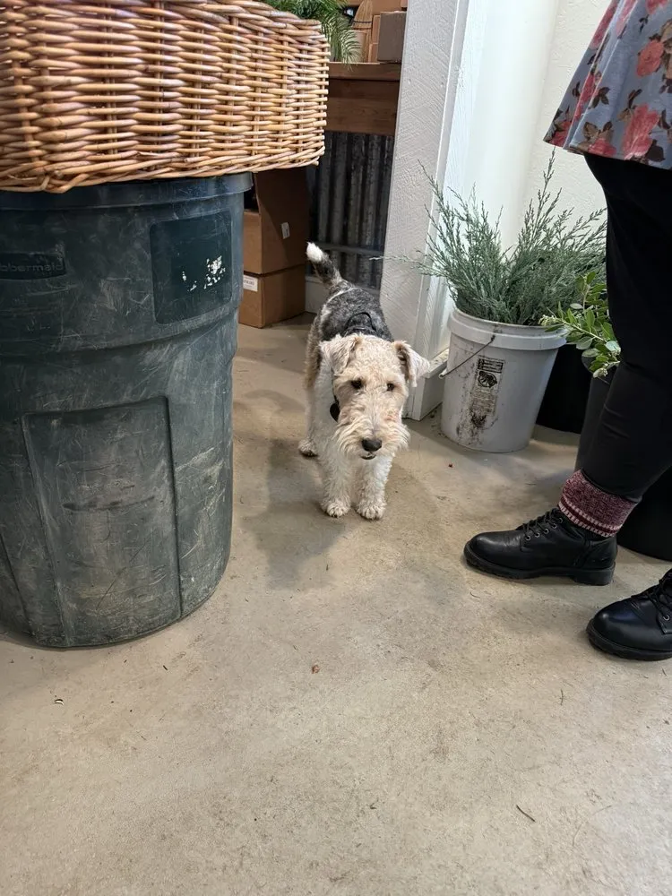 Expert yard maintenance in Estacada, OR by Laurel Hedge