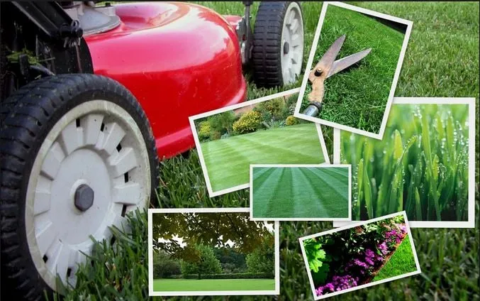 Expert landscape installation in Laurel, MT - Laurel Lawn Service