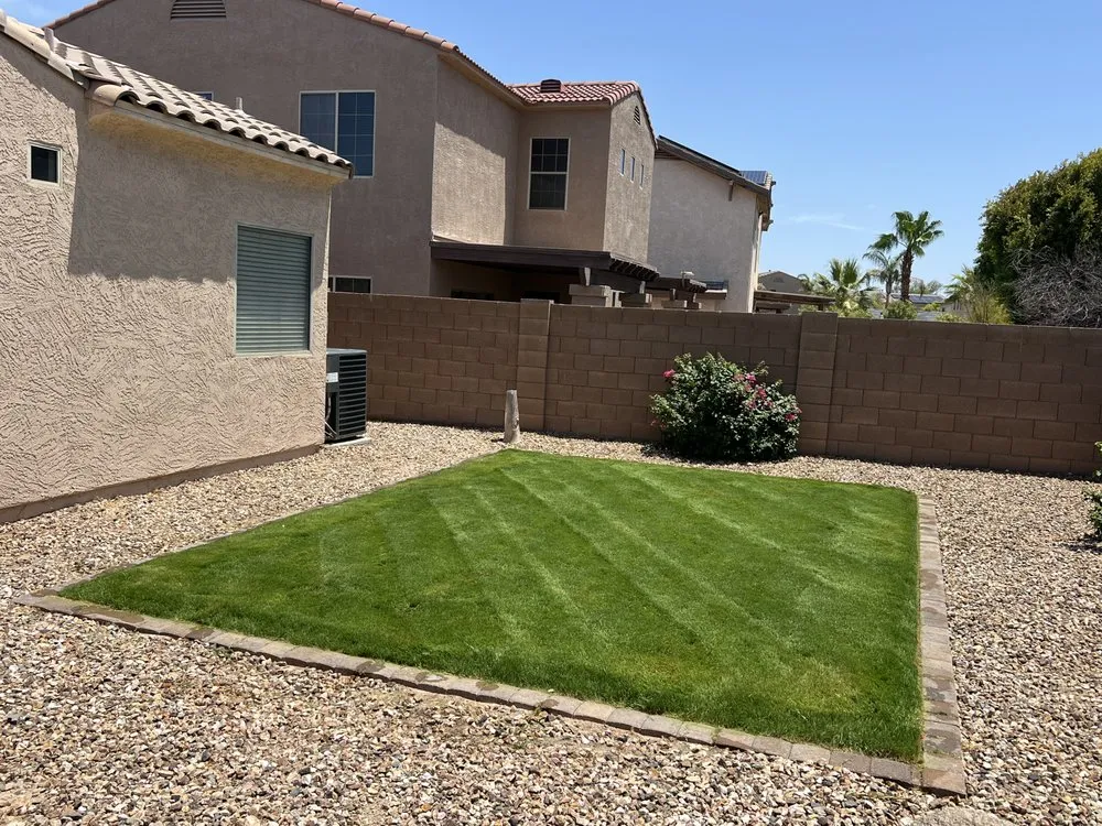 Affordable yard maintenance experts serving Phoenix, AZ - Laurel Tree Landscaping