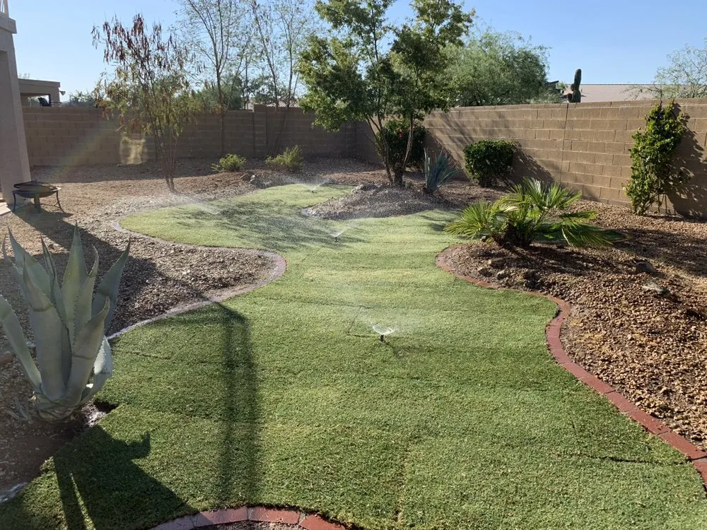 Custom outdoor landscaping in Phoenix, AZ by Laurel Tree Landscaping