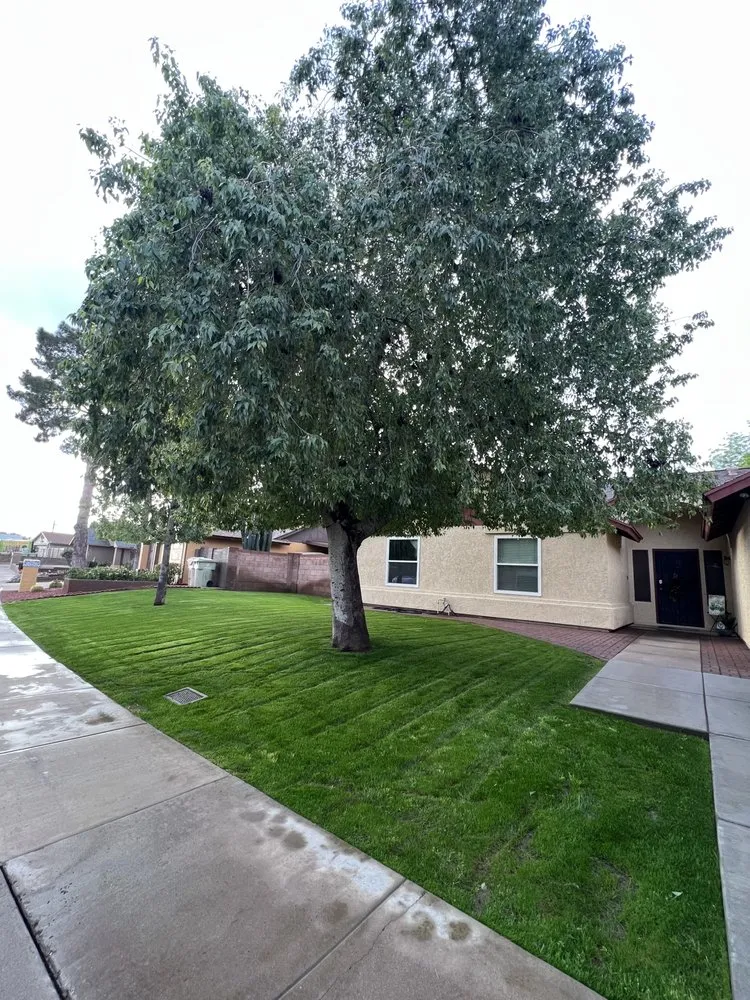 Affordable landscape design with custom design across Phoenix, AZ - Laurel Tree Landscaping