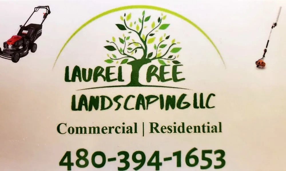 Trusted outdoor landscaping for year-round maintenance across Phoenix, AZ - Laurel Tree Landscaping