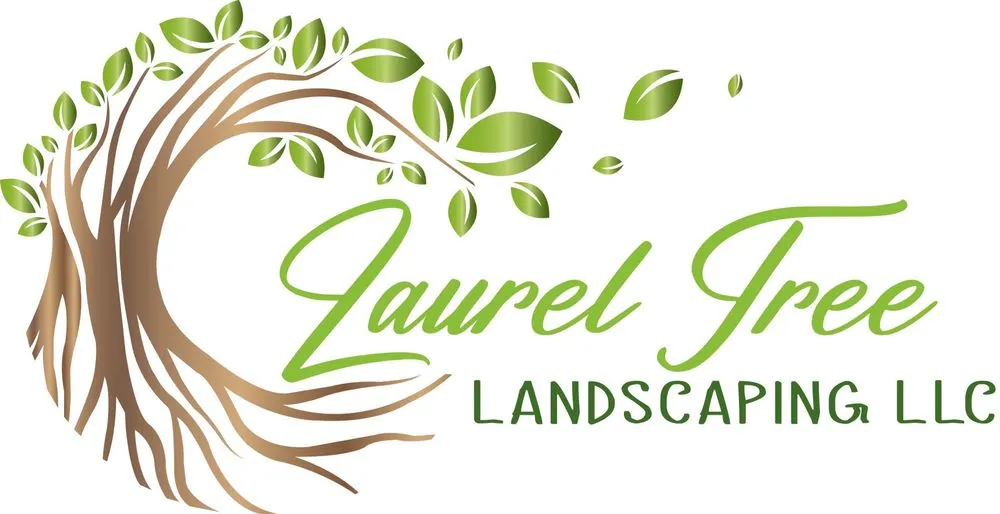 Top-rated yard cleanup service experts serving Phoenix, AZ - Laurel Tree Landscaping