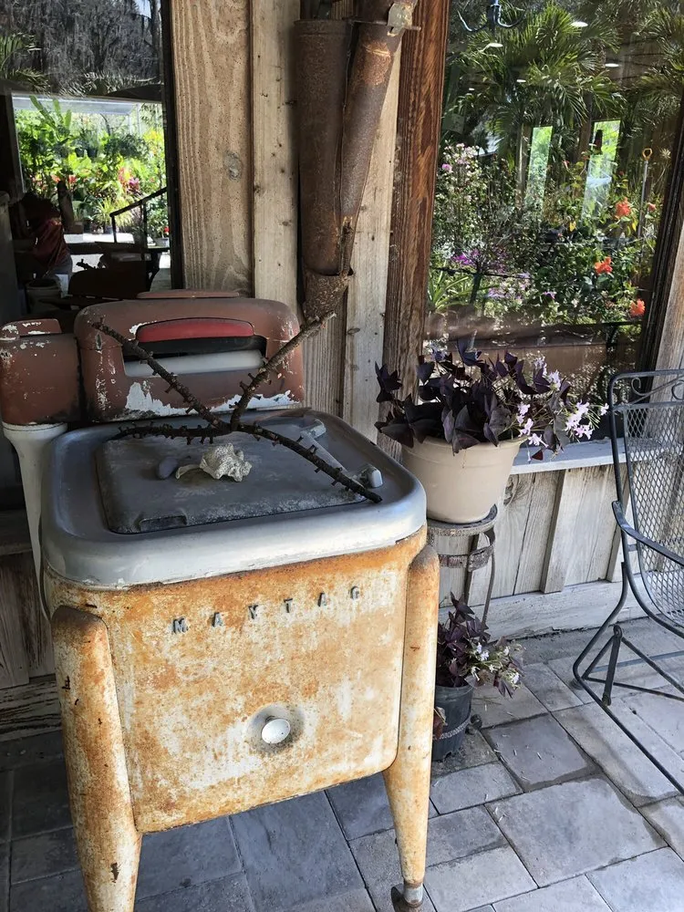 Expert landscape installation in Tampa, FL by Laurel's Oaks Plants & Tree Farm