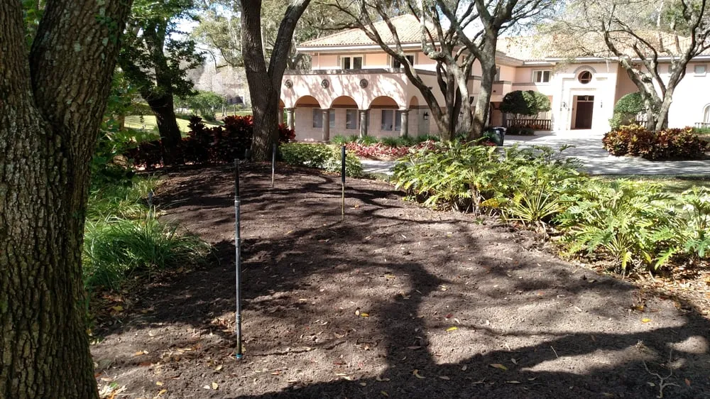 Local yard cleanup service for year-round maintenance across Tampa, FL - Laurel's Oaks Plants & Tree Farm