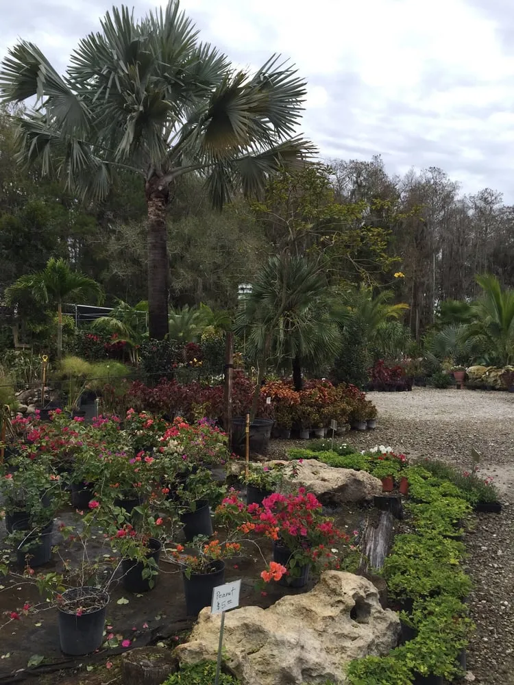 Affordable garden landscaping for year-round maintenance across Tampa, FL - Laurel's Oaks Plants & Tree Farm