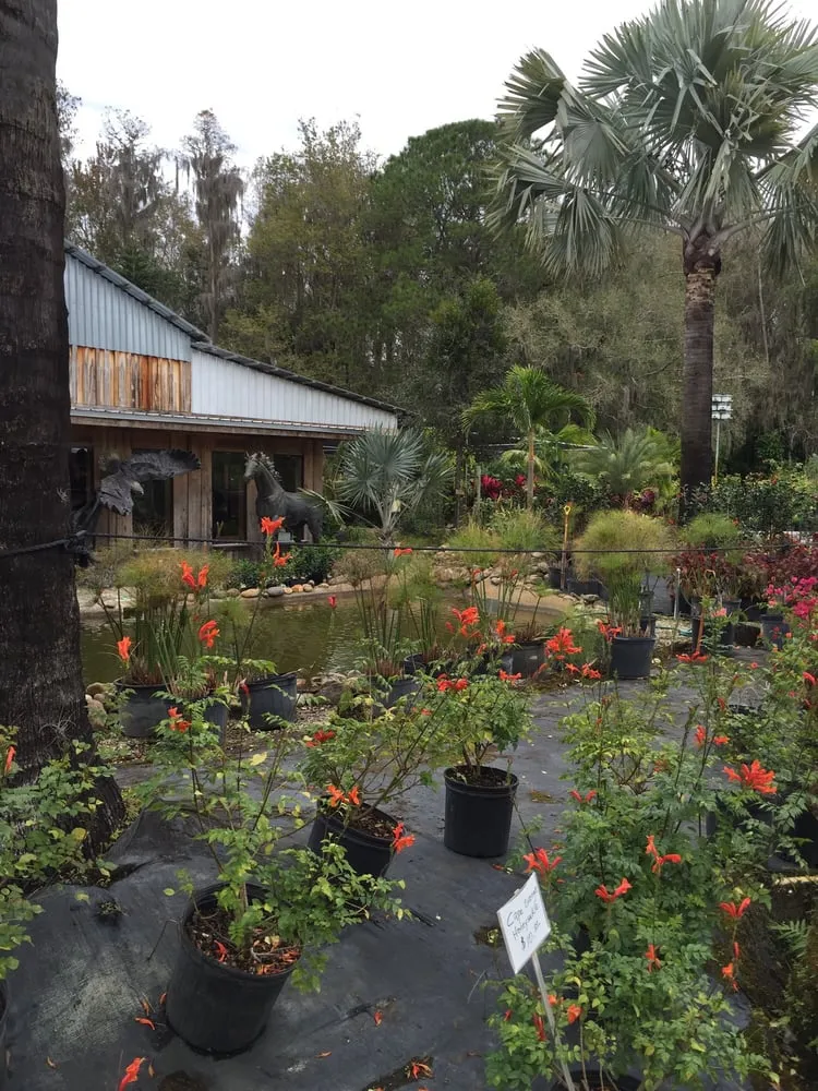 Top-rated residential landscaping in Tampa, FL by Laurel's Oaks Plants & Tree Farm