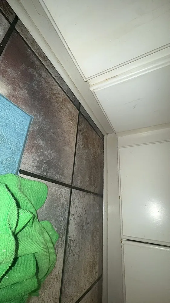 Reliable lawn mowing service experts serving Tuscumbia, AL - Lauren M K Cleaning