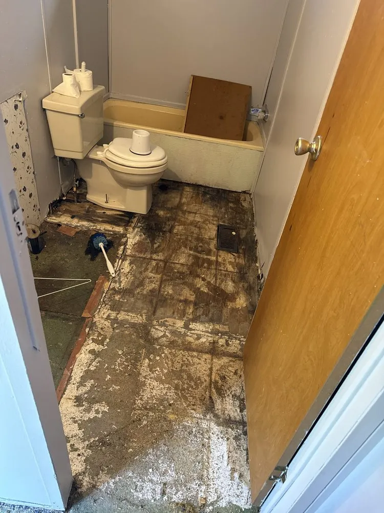 Affordable residential landscaping experts serving Tuscumbia, AL - Lauren M K Cleaning