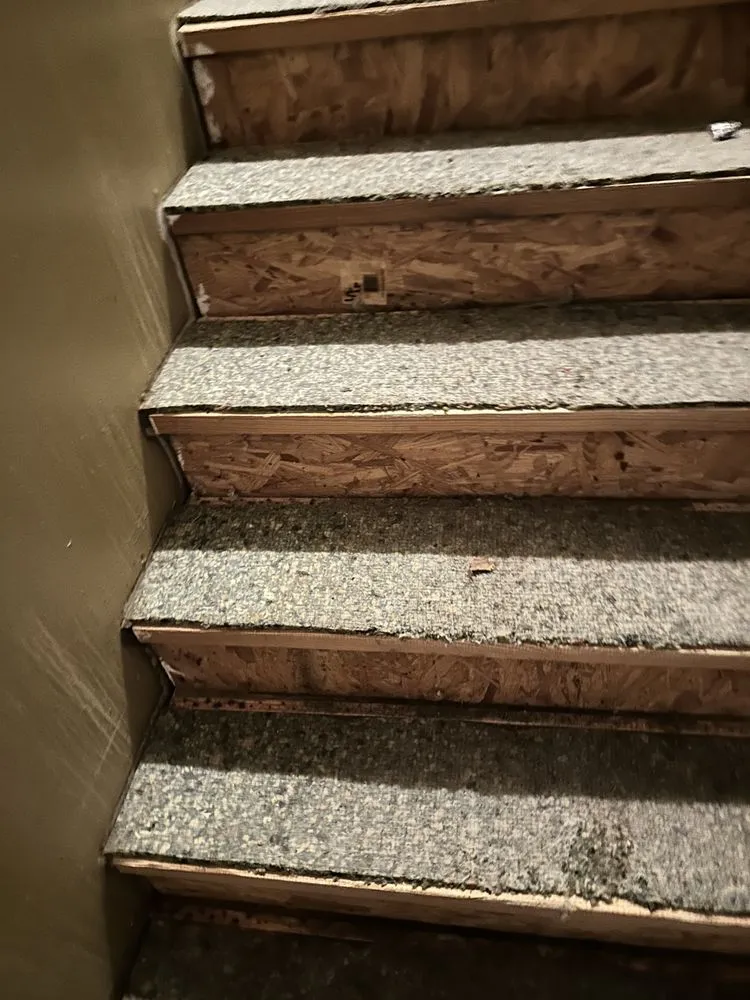 Local landscape installation experts serving Tuscumbia, AL - Lauren M K Cleaning