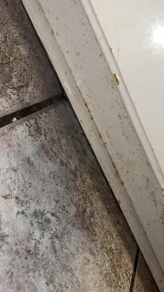 Expert residential landscaping experts serving Tuscumbia, AL - Lauren M K Cleaning