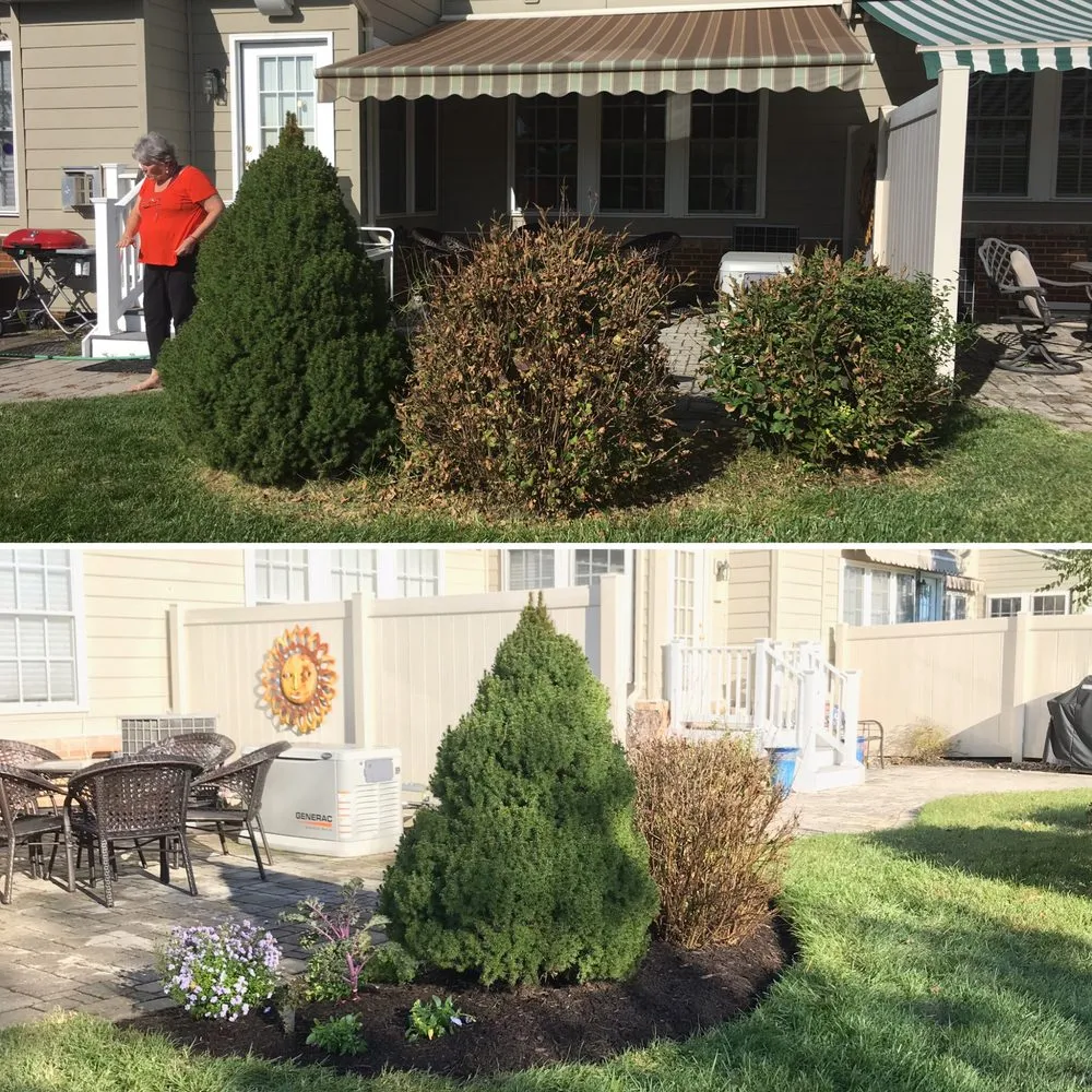 Top-rated yard cleanup service in Ellicott City, MD by Lauren's Garden Service & Native Nursery