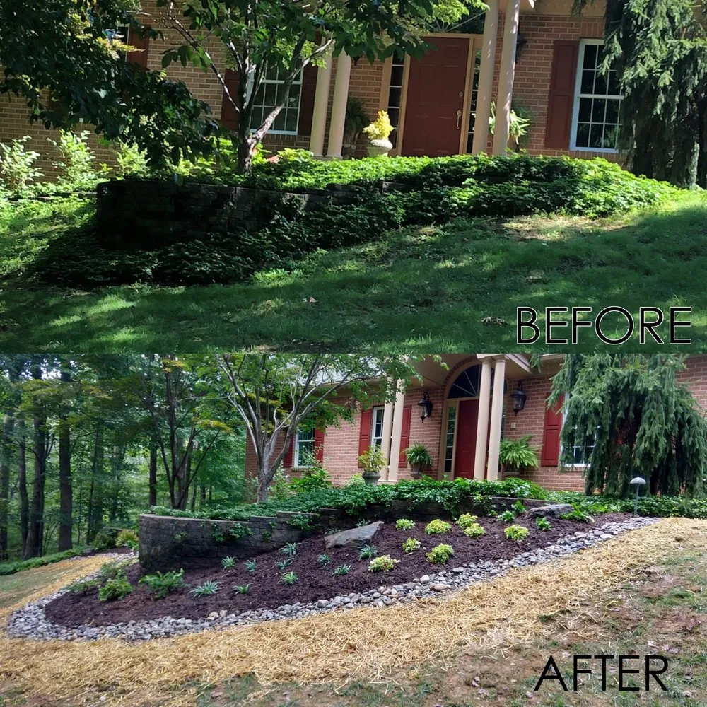 Reliable yard cleanup service experts serving Ellicott City, MD - Lauren's Garden Service & Native Nursery