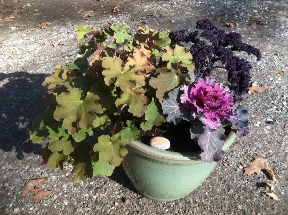 Trusted yard maintenance experts serving Ellicott City, MD - Lauren's Garden Service & Native Nursery