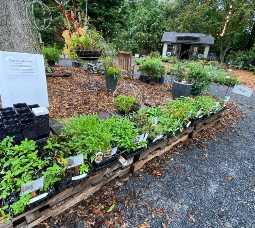 Affordable lawn care service for outdoor upgrades in Ellicott City, MD by Lauren's Garden Service & Native Nursery