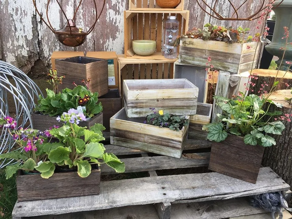 Trusted landscape design in Ellicott City, MD - Lauren's Garden Service & Native Nursery