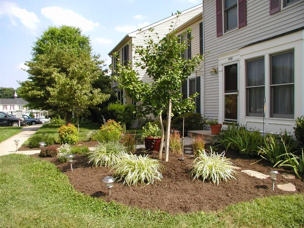 Custom yard cleanup service in Ellicott City, MD - Lauren's Garden Service & Native Nursery