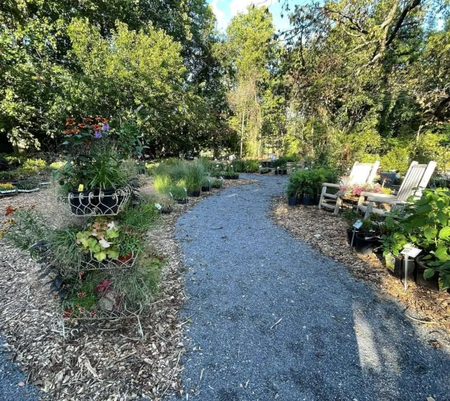 Expert outdoor landscaping for year-round maintenance in Ellicott City, MD by Lauren's Garden Service & Native Nursery