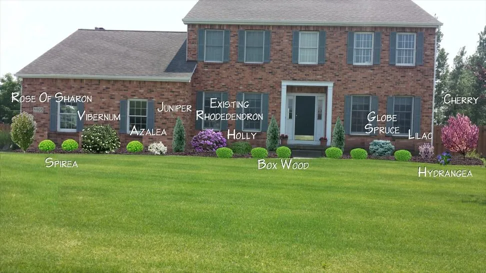 Local lawn care service experts serving Buffalo, NY - Lauren's Pro Landscapes