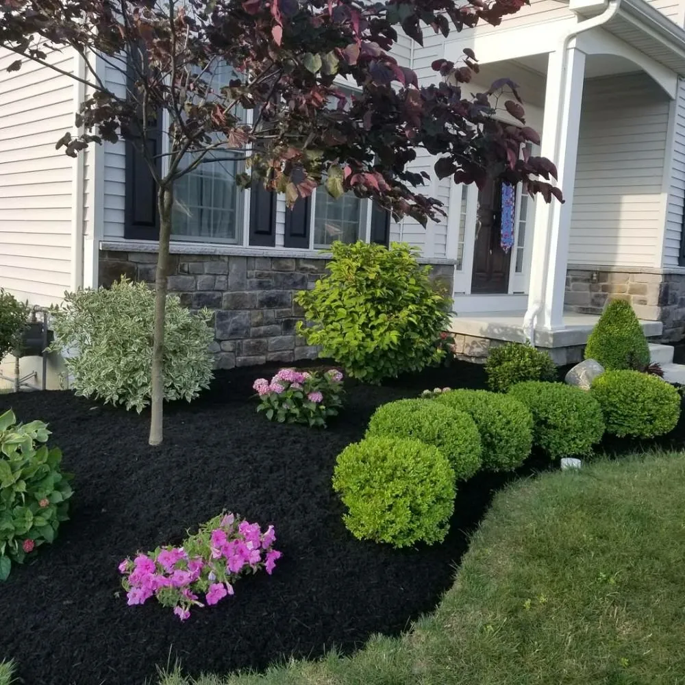 Top-rated landscape design in Clarence, NY - Lauren's Pro Landscapes
