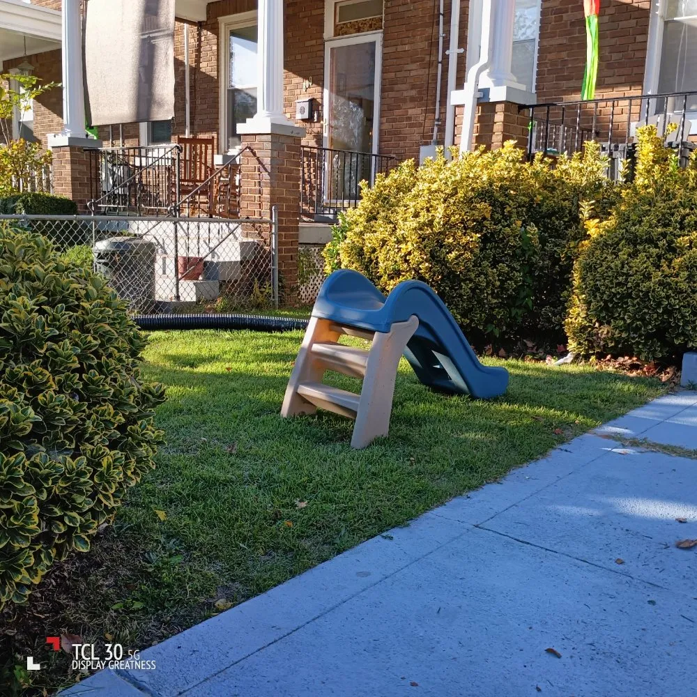 Custom yard cleanup service for outdoor upgrades in Alexandria, VA by Lauren's Village Landscaping & Lawn Care