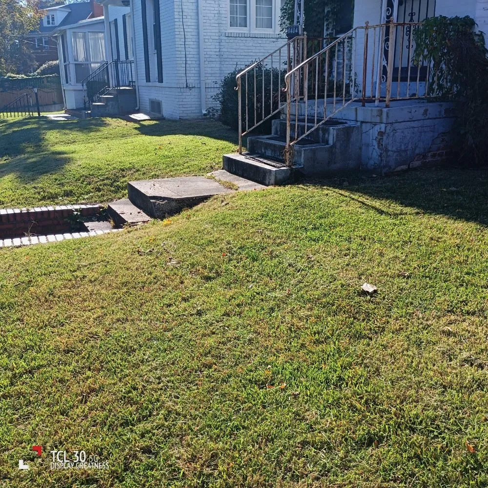 Reliable lawn care service in Alexandria, VA by Lauren's Village Landscaping & Lawn Care