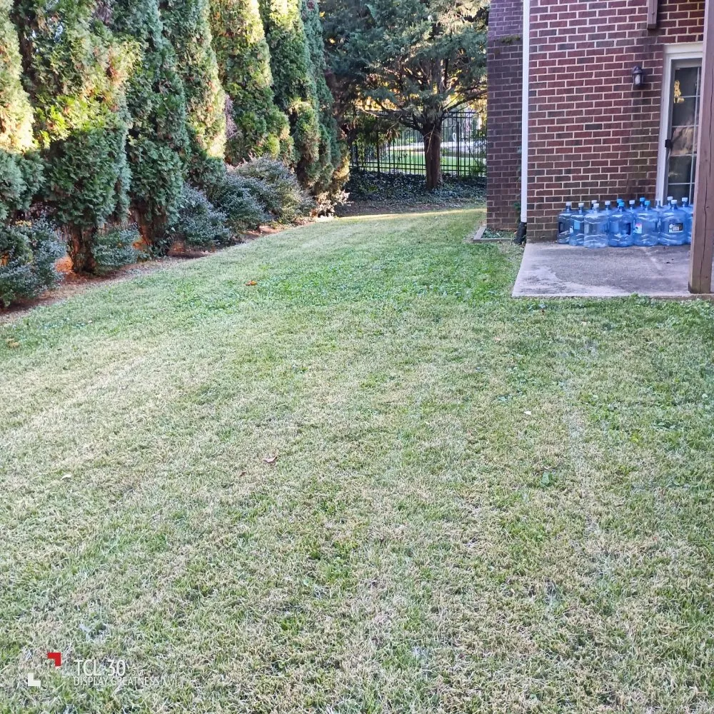 Local outdoor landscaping in Alexandria, VA - Lauren's Village Landscaping & Lawn Care