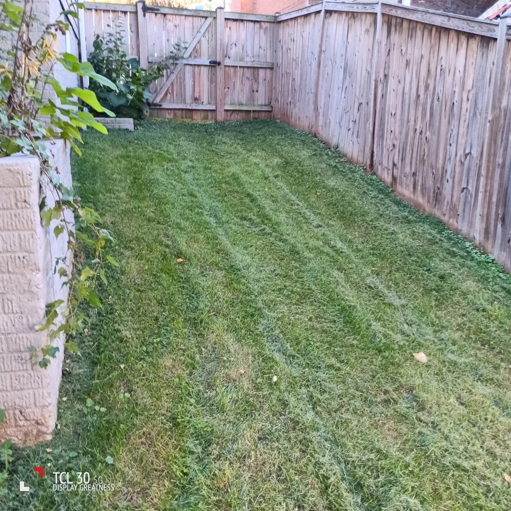 Affordable outdoor landscaping in Alexandria, VA - Lauren's Village Landscaping & Lawn Care