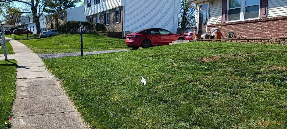 Expert yard maintenance in Alexandria, VA by Lauren's Village Landscaping & Lawn Care