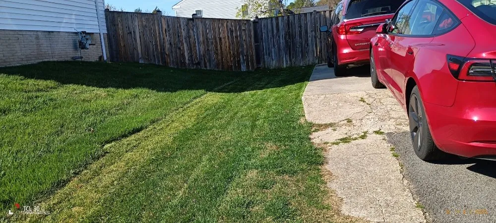 Top-rated lawn care service experts serving Alexandria, VA - Lauren's Village Landscaping & Lawn Care