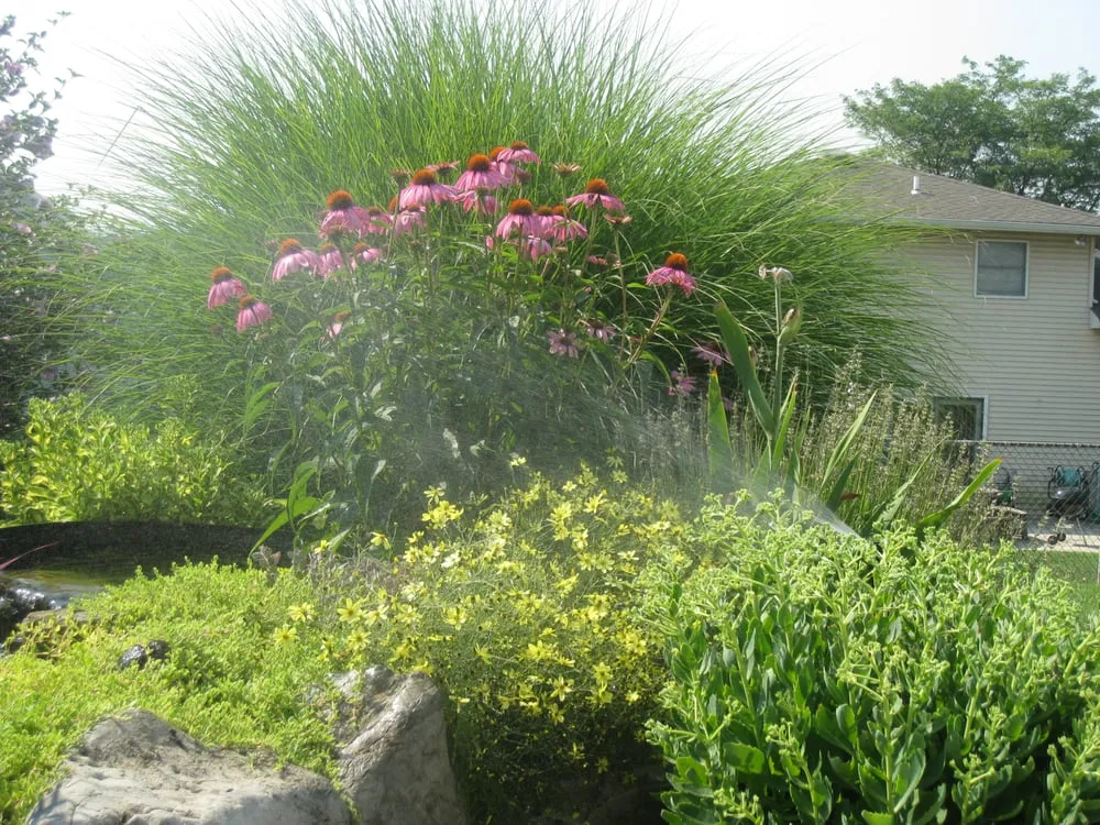 Local yard cleanup service near you across Easton, PA - Laurian Outdoors