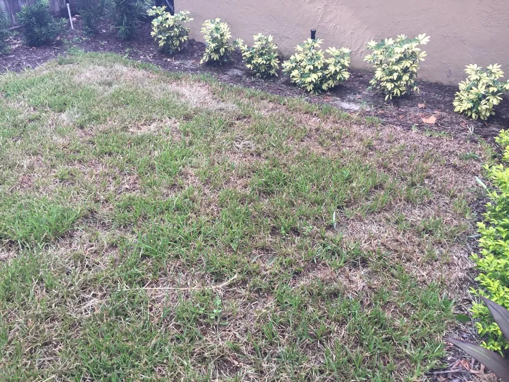 Trusted residential landscaping in Lake Mary, FL - Laurie Brown Landscape Service