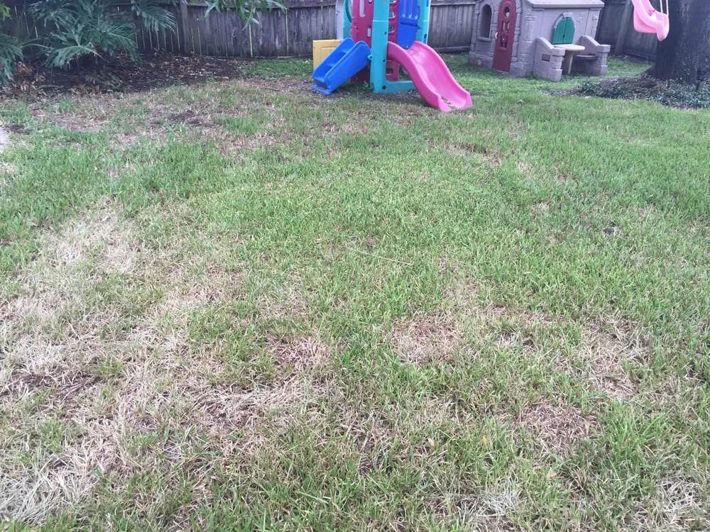 Trusted residential landscaping near you across Lake Mary, FL - Laurie Brown Landscape Service