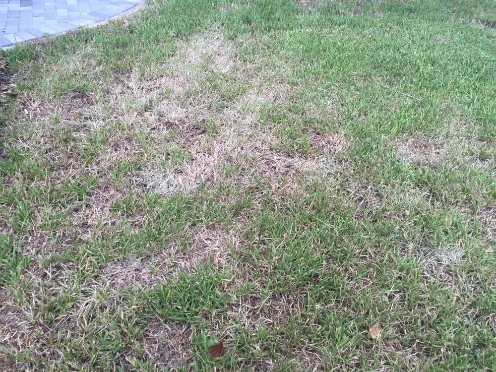 Trusted residential landscaping for residential properties across Lake Mary, FL - Laurie Brown Landscape Service