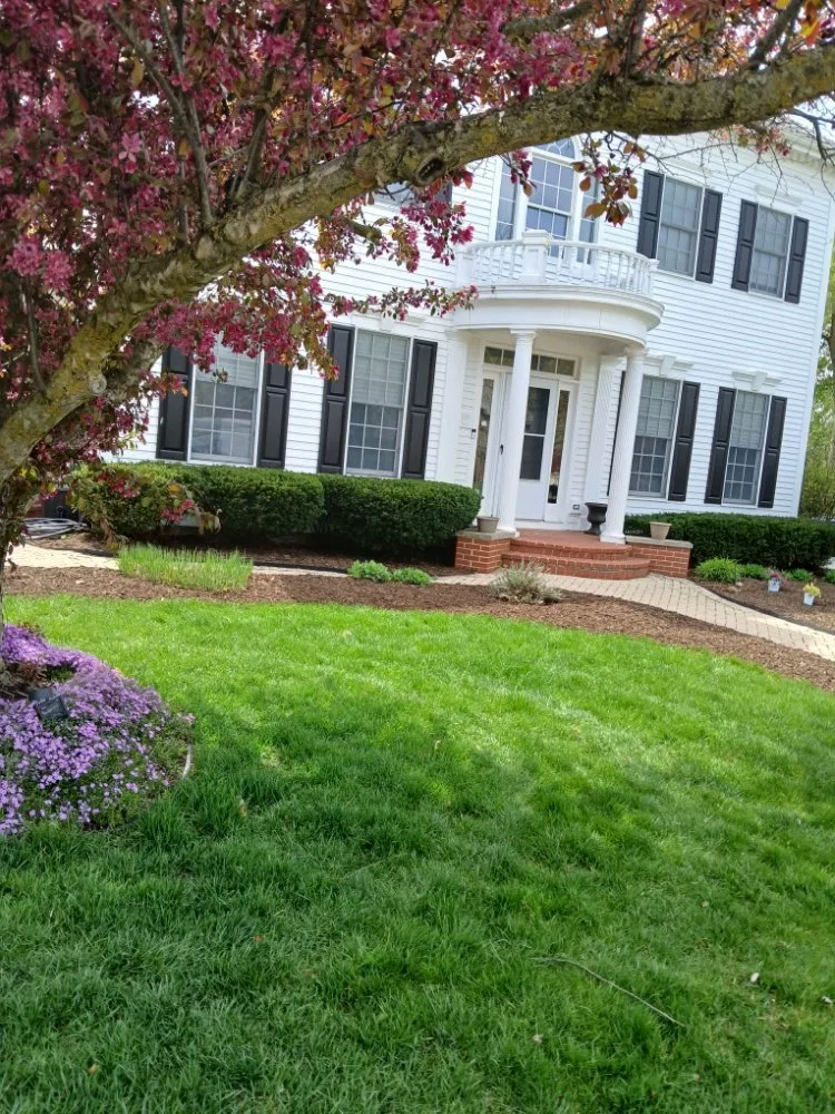 Expert lawn mowing service with custom design in South Elgin, IL by Laurita Landscaping