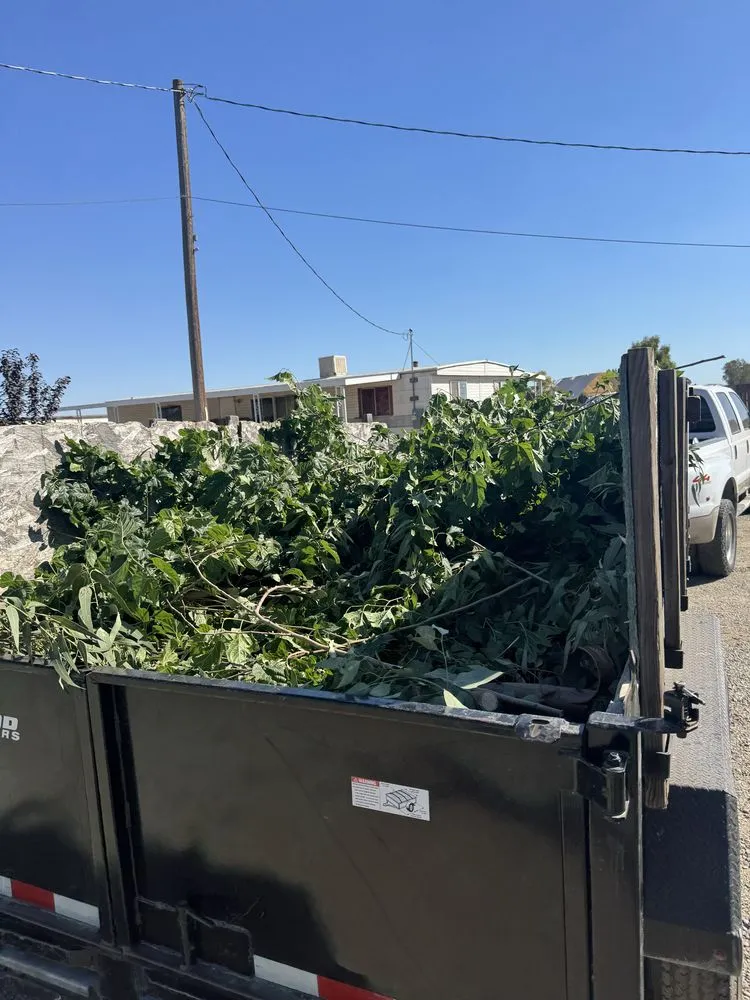 Reliable residential landscaping near you in Madera, CA by Lauro’s Lawn Care