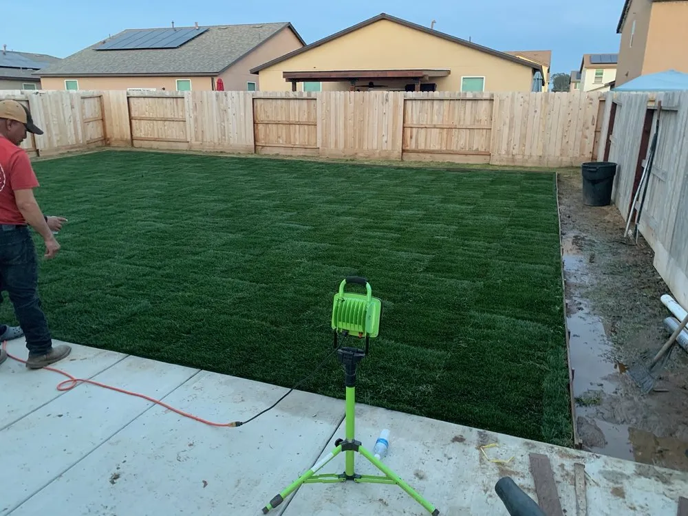 Expert yard cleanup service for year-round maintenance across Madera, CA - Lauro’s Lawn Care