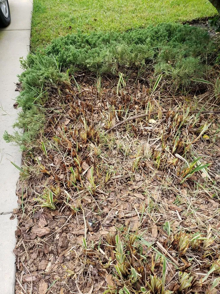 Expert landscape installation for beautiful yards across Brookville, FL - Laurose Lawns