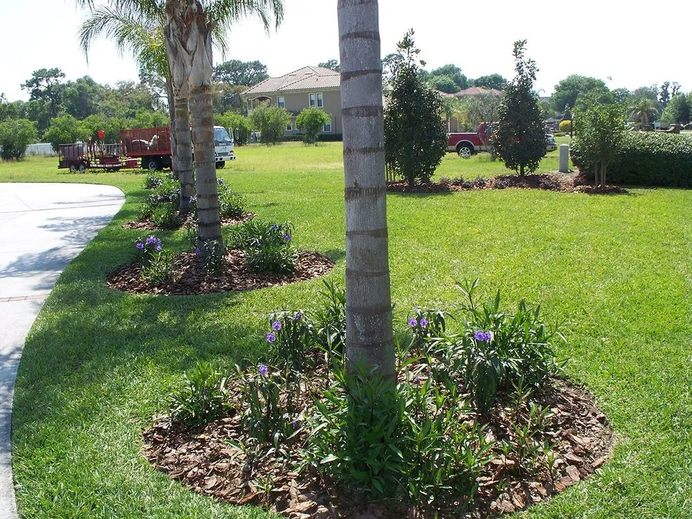 Custom landscaping services in Brookville, FL by Laurose Lawns