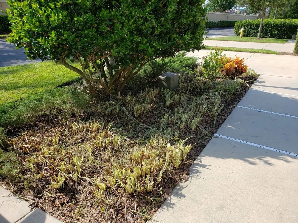 Local landscaping services in Brookville, FL by Laurose Lawns