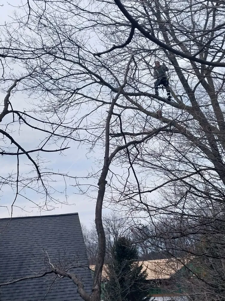 Trusted landscape design for residential properties across Imlay City, MI - Laur's Tree Care and Home Improvement