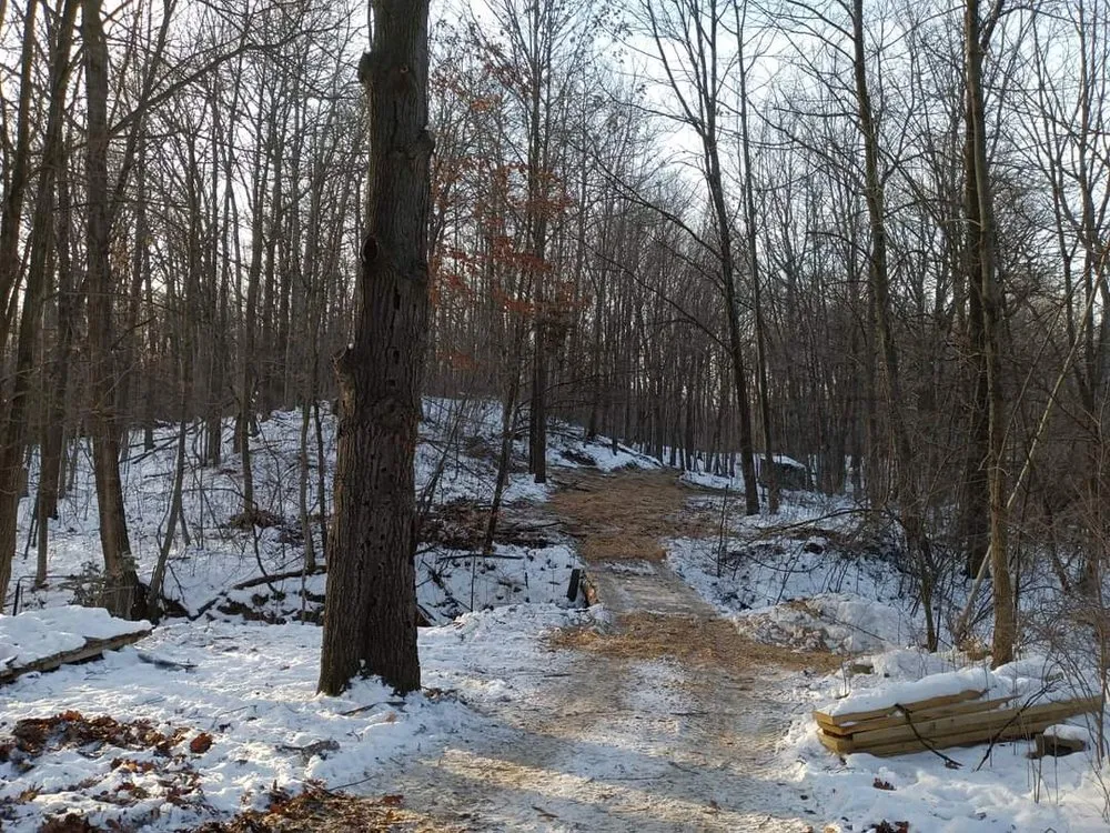 Professional landscape installation near you in Imlay City, MI by Laur's Tree Care and Home Improvement