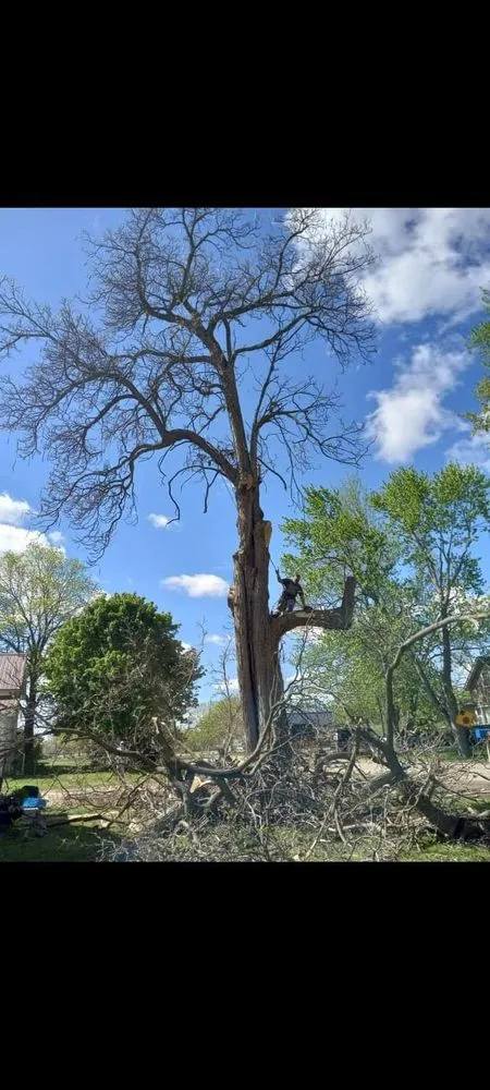 Local garden landscaping experts serving Imlay City, MI - Laur's Tree Care and Home Improvement