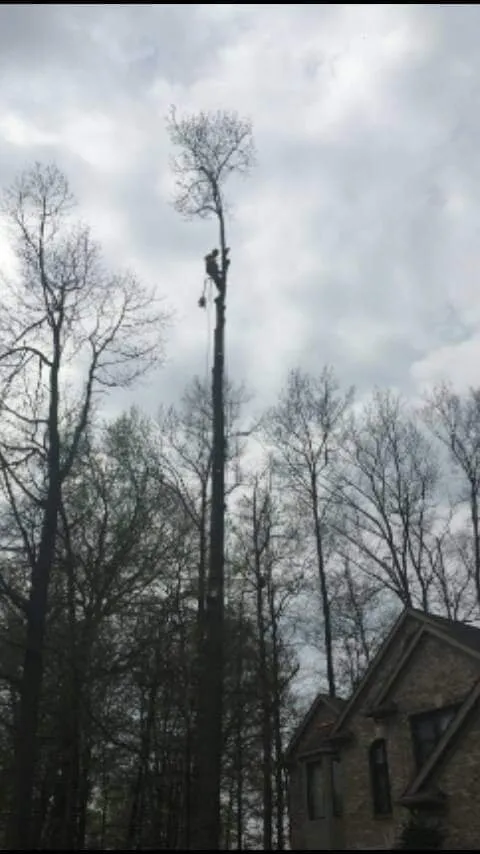 Professional landscape design near you across Imlay City, MI - Laur's Tree Care and Home Improvement